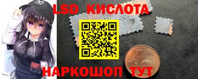 spice Ставрополь