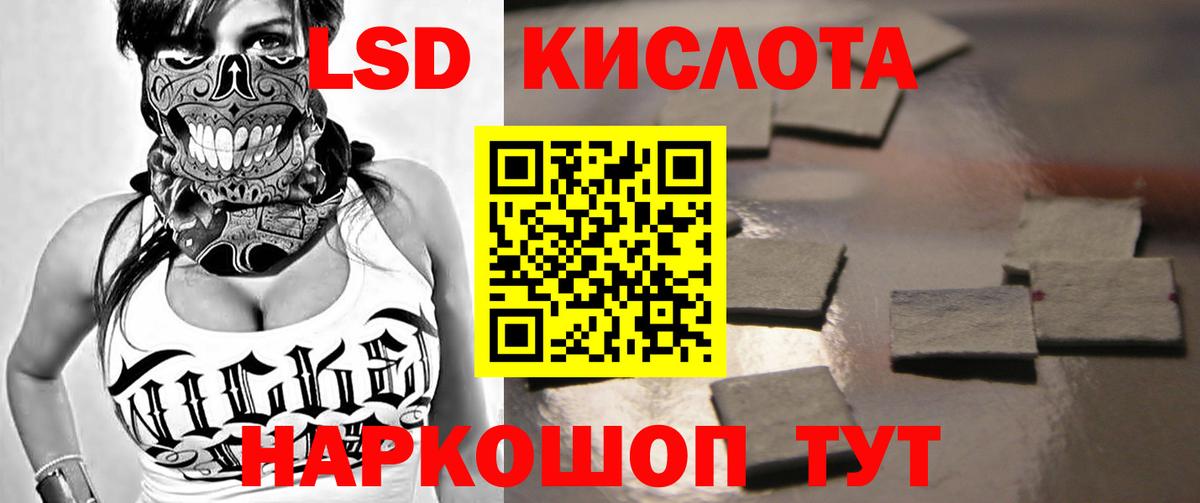 Псилоцибиновые грибы Муром